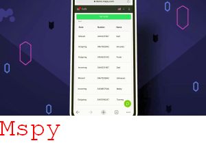 Mspy Keylogger